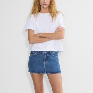 Aritzia super lo-rise micro skirt